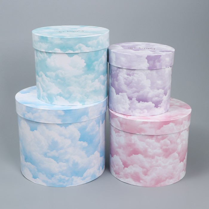 Набор шляпных коробок для цветов 4 в 1, упаковка подарочная, «Облака», 14 х 13 см - 20 х 17.5 см - фото 1909428260