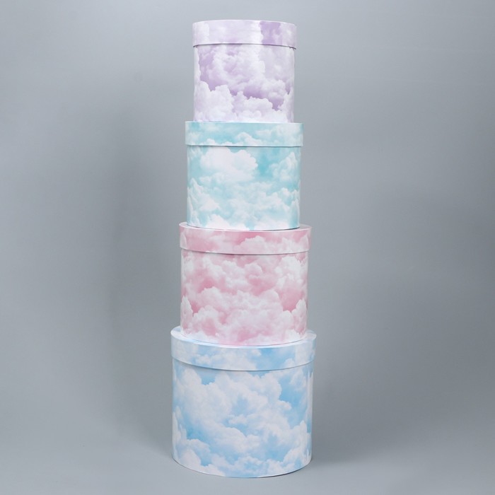 Набор шляпных коробок для цветов 4 в 1, упаковка подарочная, «Облака», 14 х 13 см - 20 х 17.5 см - фото 1909428261