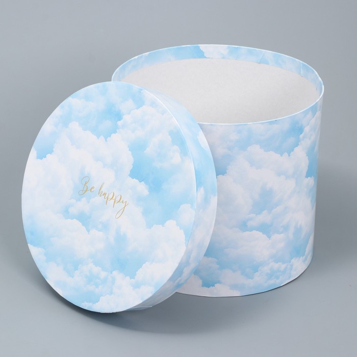 Набор шляпных коробок для цветов 4 в 1, упаковка подарочная, «Облака», 14 х 13 см - 20 х 17.5 см - фото 1909428262