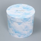 Набор шляпных коробок для цветов 4 в 1, упаковка подарочная, «Облака», 14 х 13 см - 20 х 17.5 см - Фото 6