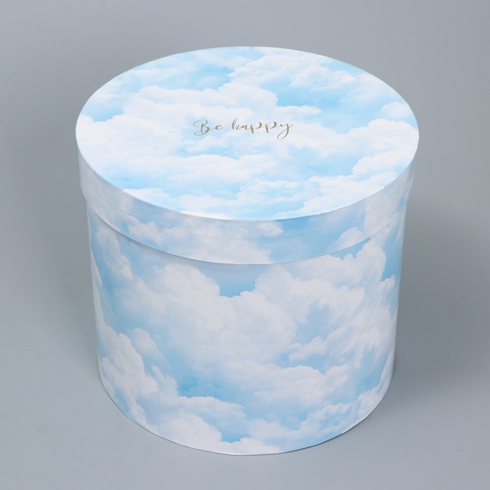 Набор шляпных коробок для цветов 4 в 1, упаковка подарочная, «Облака», 14 х 13 см - 20 х 17.5 см - фото 1909428263