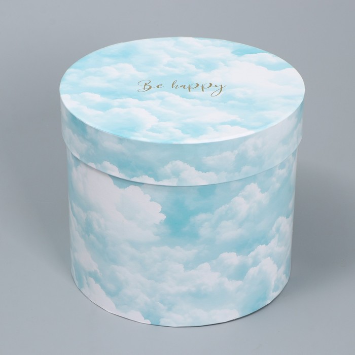 Набор шляпных коробок для цветов 4 в 1, упаковка подарочная, «Облака», 14 х 13 см - 20 х 17.5 см - фото 1909428267