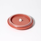 Контейнеры Доляна «Коралл», 390/530 мл, набор 2 шт., с крышкой, стекло, прозрачные - Фото 6