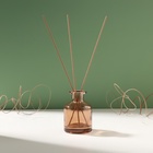 Диффузор для эфирных масел «Бутылёк», 50 мл, прозрачный коричневый, 4.8×4.8×7 см - Фото 4