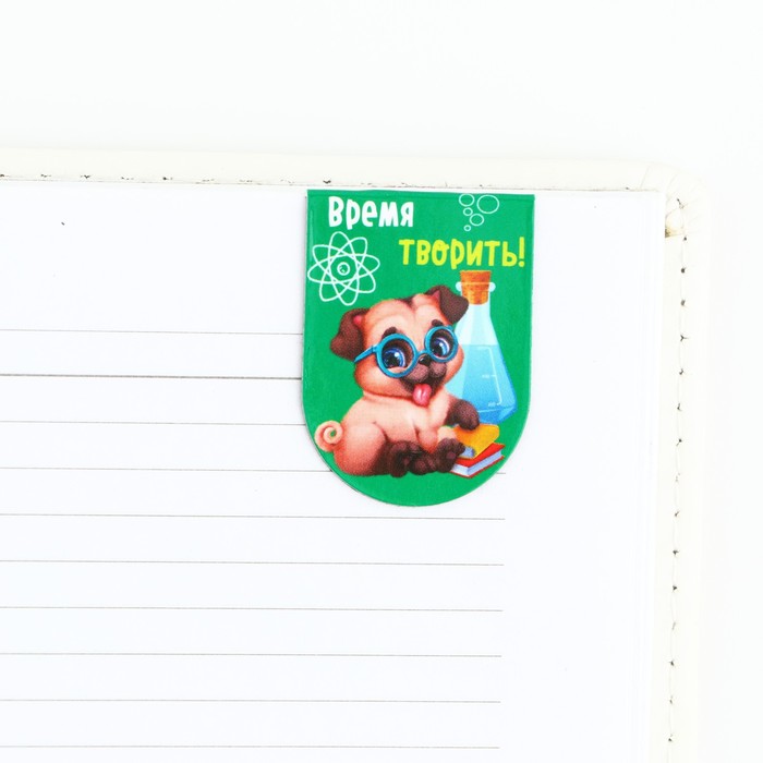 Закладки магнитные на подложке для книг на выпускной «Выпускнику» 6 штук - фото 1905056907