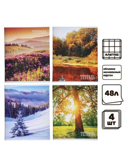 Комплект тетрадей, 48 листов в клетку, Calligrata «Времена года», серые листы, 4 штук