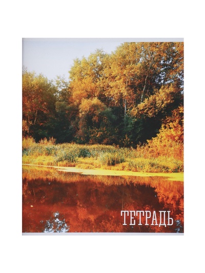 Комплект тетрадей, 48 листов в клетку, Calligrata «Времена года», серые листы, 4 штуки