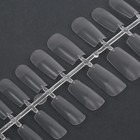 Гелевые типсы для наращивания ногтей, 240 шт., форма мягкий квадрат, матовые, в контейнере, прозрачные - Фото 4