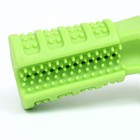 Игрушка для собак с отверстием для зубной пасты "Зубная щетка" 12,5 см, зелёная - Фото 2