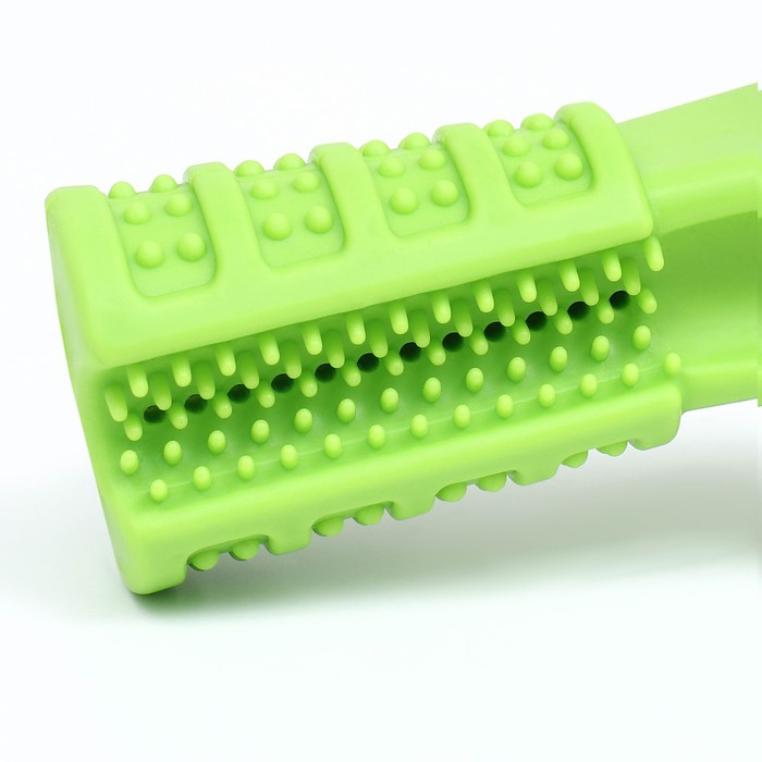 Игрушка для собак с отверстием для зубной пасты "Зубная щетка" 12,5 см, зелёная
