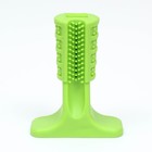 Игрушка для собак с отверстием для зубной пасты "Зубная щетка" 12,5 см, зелёная - Фото 3