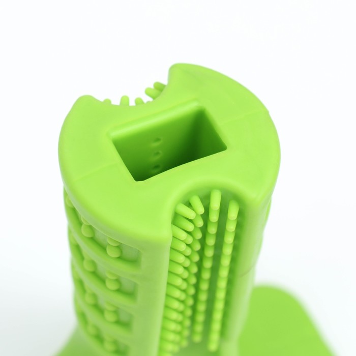 Игрушка для собак с отверстием для зубной пасты "Зубная щетка" 12,5 см, зелёная