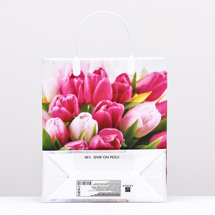 Пакет "Весеннее настроение", мягкий пластик, 26 x 23 см, 100 мкм 10245697