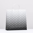 Пакет «Классика», мягкий пластик, 30×29 100 мкм - Фото 1