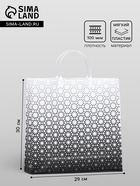 Пакет «Классика», мягкий пластик, 30×29 100 мкм - Фото 1