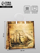 Пакет «Корабль», мягкий пластик, 30×30 120 мкм - Фото 1