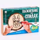 Набор для выжигания на спилах «Крутой пёс» 10179234 - фото 16369552