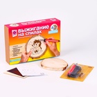 Выжигание по дереву на спилах «Подарок для ёжика», набор для творчества - Фото 2