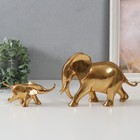 Сувенир полистоун "Слониха со слонёнком" золото набор 2 шт 32х6,6х13 см - Фото 2