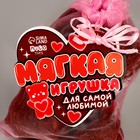 Мягкая игрушка в мешочке "Для самой любимой" МИКС - Фото 6