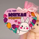 Мягкая игрушка в мешочке «Заяц», МИКС - Фото 6