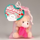 Мягкая игрушка в мешочке "Мишка" - фото 23451487