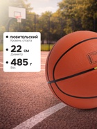 Мяч баскетбольный MINSA, клееный, 8 панелей, р. 5, PVC, бутиловая камера - Фото 4