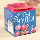 Печенье с предсказанием «с 8 марта», 6 г. (комплект 3 шт) - фото 31324767