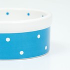 Миска керамическая 8,5 х 8,5 х 3,5 см,  100 мл голубая - фото 23430501
