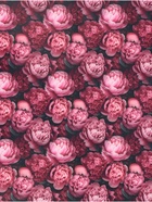 Бумага упаковочная, глянцевая «Пионы» 60×90 см - Фото 2