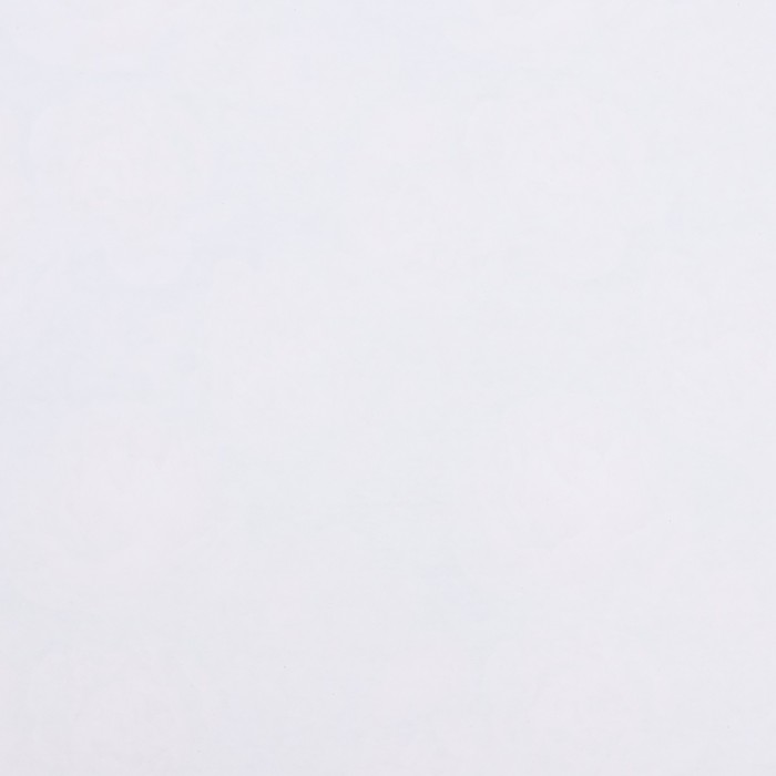 Бумага упаковочная,  глянцевая "Пионы"  70 х 100 см - фото 1891814727