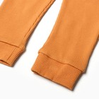 Комплект детский (лонгслив, штанишки), цвет охра, рост 86 см - Фото 6