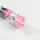 Мыльные лепестки "Гвоздика" в подарочной плёнке, розовая 4,5х4,5х38 см - Фото 3