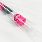 Мыльные лепестки "Гвоздика" в подарочной плёнке, ярко-розовая 4,5х4,5х38 см - Фото 3