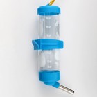 Поилка для грызунов "Хомячки" 125 мл, 12,5 Х 4,5 см, голубая - фото 63085370