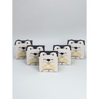 Набор подарочных коробок, 5 шт «Медвежонок», 15 х 15 х 8 см 10112038