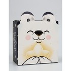 Набор подарочных коробок, 5 шт «Медвежонок», 15 х 15 х 8 см 10112038