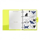 Тетрадь на кольцах А5 120 листов в клетку LOREX «NEON. YELLOW», со сменным блоком, пластиковая обложка, с наклейками - Фото 3