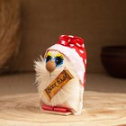 Оберег домовёнок "Всех благ", в колпаке, 9 см, микс - фото 23500126