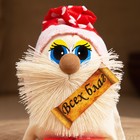 Оберег домовёнок "Всех благ", в колпаке, 9 см, микс - фото 23500128