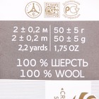 Шерсть для валяния 100% полутонкая шерсть 50гр (363-св.вишня) 10226988 - фото 13260910