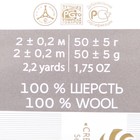 Шерсть для валяния 100% полутонкая шерсть 50гр (484- баклажан) - фото 23430756