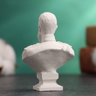 Бюст «Император Александр III», фигурка гипс, белый, 4.5×2.5×6.5 см - Фото 4