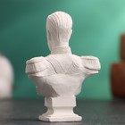 Бюст «Император Николай II», фигурка гипс, белый, 4.5×2.5×6.5 см - Фото 3
