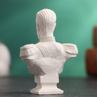 Бюст «Император Николай II», фигурка гипс, белый, 4.5×2.5×6.5 см - Фото 4