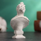 Бюст «Екатерина I Императрица», фигурка гипс, белый - Фото 3