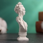Бюст «Екатерина I Императрица», фигурка гипс, белый - Фото 5