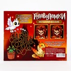 Металлические головоломки «Волшебник», 16 шт. - Фото 11