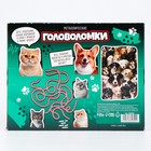 Металлические головоломки «Звери», 16 шт. - Фото 11