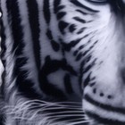 Антистресс подушка «Тигр», серый - фото 3922122